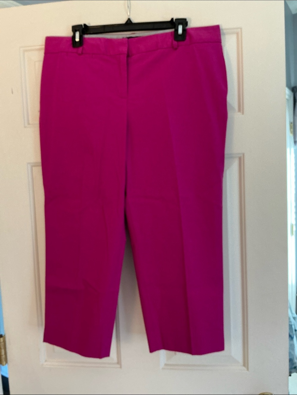 Talbots Signature Fuchsia Pink Cropped Ankle Pants NWT size 14P